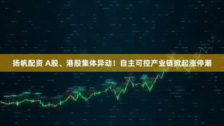 扬帆配资 A股、港股集体异动！自主可控产业链掀起涨停潮