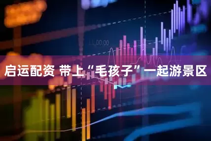 启运配资 带上“毛孩子”一起游景区